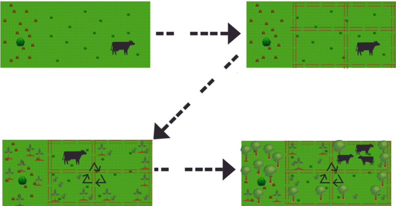 Silvopastoral systems