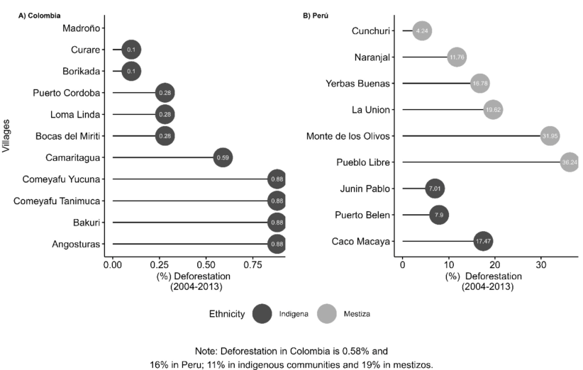 Food security Amazon